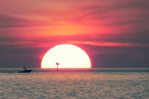 St. Petersburg, FL: Sunset & Skyway Bridge Lights Tour