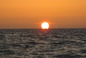 St. Petersburg, FL: Sunset & Skyway Bridge Lights Tour