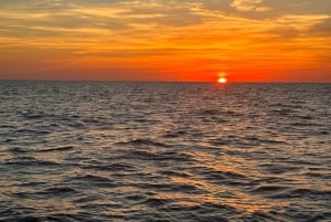 St. Petersburg, FL: Sunset & Skyway Bridge Lights Tour