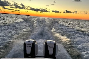 St. Petersburg, FL: Sunset & Skyway Bridge Lights Tour