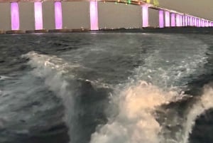 St. Petersburg, FL: Sunset & Skyway Bridge Lights Tour