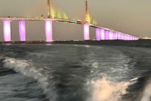 St. Petersburg, FL: Sunset & Skyway Bridge Lights Tour