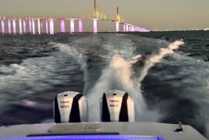 St. Petersburg, FL: Sunset & Skyway Bridge Lights Tour