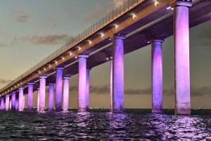 St. Petersburg, FL: Sunset & Skyway Bridge Lights Tour