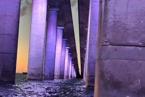 St. Petersburg, FL: Sunset & Skyway Bridge Lights Tour