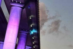 St. Petersburg, FL: Sunset & Skyway Bridge Lights Tour