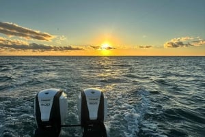 St. Petersburg, FL: Sunset & Skyway Bridge Lights Tour