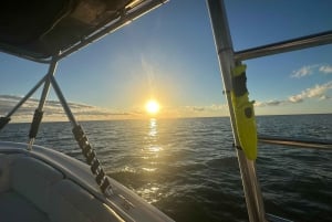 St. Petersburg, FL: Sunset & Skyway Bridge Lights Tour