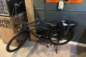 St. Petersburg: Half-Day E-Bike Rental