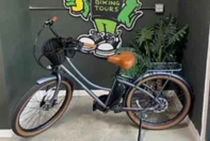 St. Petersburg: Half-Day E-Bike Rental