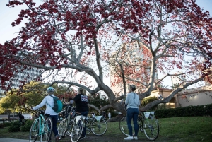 St. Petersburg: Historische Fahrradtour