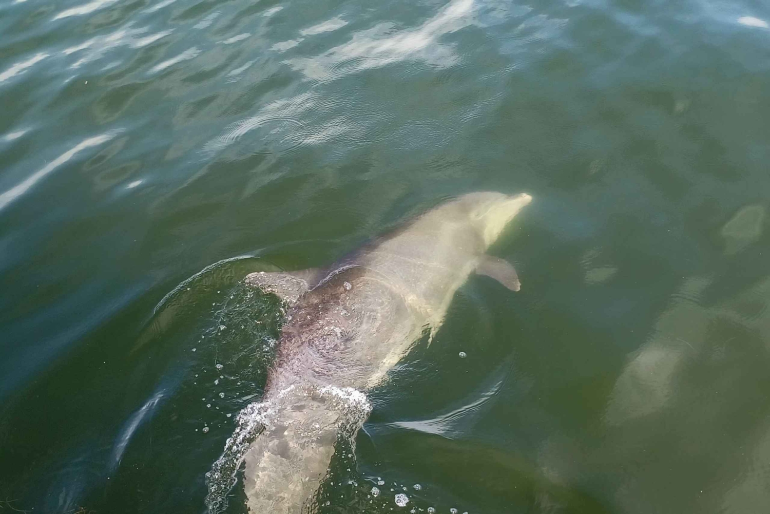 St. Petersburg: Historische Segway-Tour mit Museumseintritt