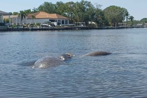St. Petersburg: Historisk Segway-tur med entré til museum