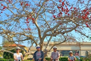 St. Petersburg: Historisk Segway-tur med entré til museum