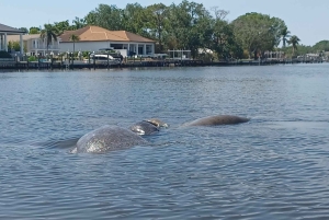 St. Petersburg: Historische Segway-Tour mit Museumseintritt