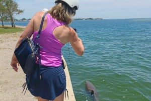 St. Petersburg: Historische Segway-Tour mit Museumseintritt