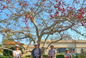 St. Petersburg: Historische Segway-Tour mit Museumseintritt