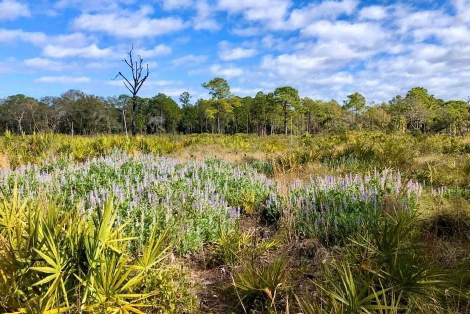 San Petersburgo: tour en bicicleta por el lago Maggiore con guía