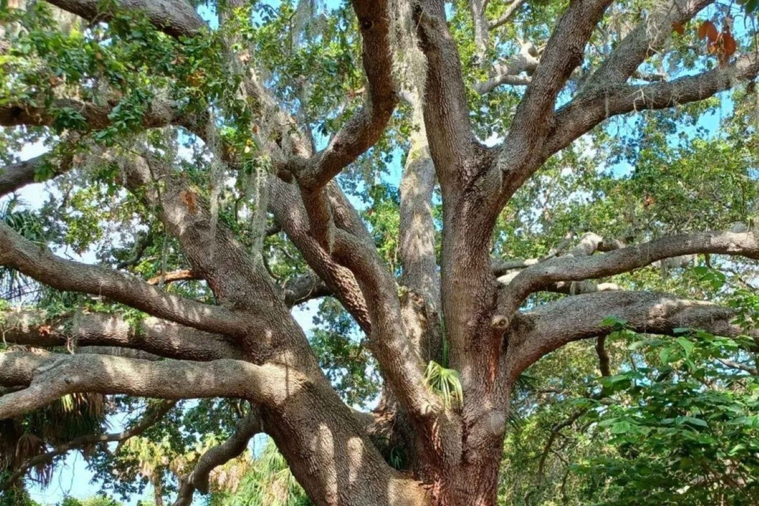 San Petersburgo: tour en bicicleta por el lago Maggiore con guía