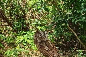 St. Petersburg: Sykkelutflukt til Lake Maggiore med guide