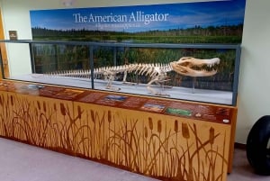 St. Petersburg: Sykkelutflukt til Lake Maggiore med guide