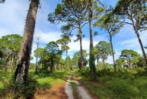 St. Petersburg: Sykkelutflukt til Lake Maggiore med guide