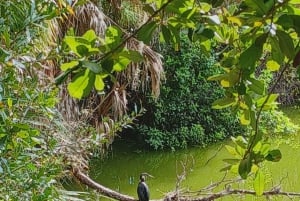 St. Petersburg: Sykkelutflukt til Lake Maggiore med guide