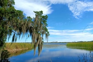 St. Petersburg: Sykkelutflukt til Lake Maggiore med guide