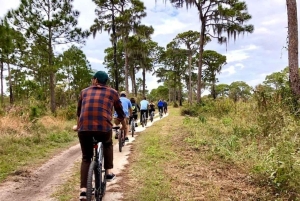 San Petersburgo: tour en bicicleta por el lago Maggiore con guía