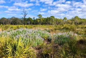 San Petersburgo: tour en bicicleta por el lago Maggiore con guía