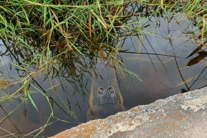 San Petersburgo: tour en bicicleta por el lago Maggiore con guía