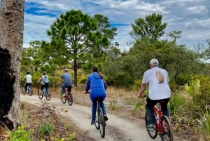 San Petersburgo: tour en bicicleta por el lago Maggiore con guía