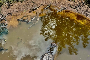 San Petersburgo: tour en bicicleta por el lago Maggiore con guía