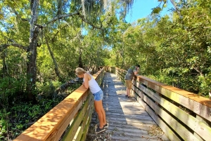 San Petersburgo: tour en bicicleta por el lago Maggiore con guía