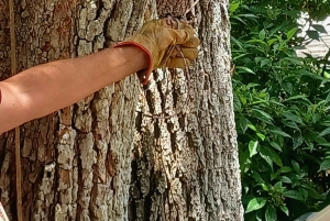 San Petersburgo: tour en bicicleta por el lago Maggiore con guía