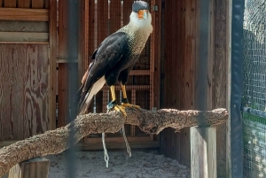 San Petersburgo: tour en bicicleta por el lago Maggiore con guía
