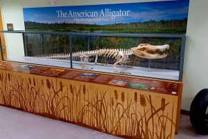 San Petersburgo: tour en bicicleta por el lago Maggiore con guía