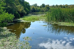 San Petersburgo: tour en bicicleta por el lago Maggiore con guía