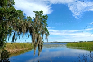 San Petersburgo: tour en bicicleta por el lago Maggiore con guía