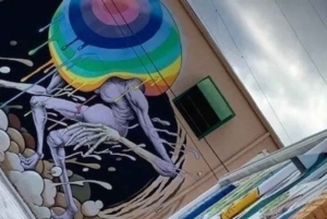 St. Petersburg: Mural Biking Tour