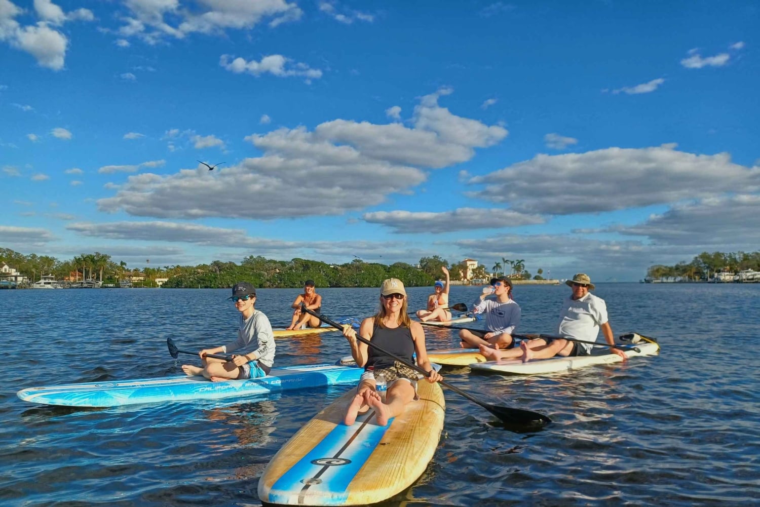 St. Petersburg: Paddle-Board-Tour mit Wildtierbeobachtung
