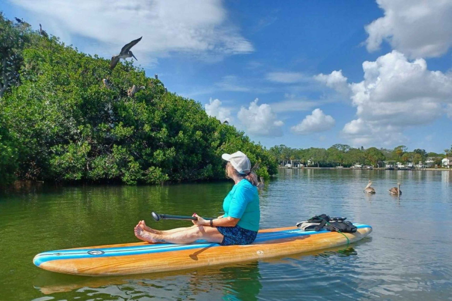 St. Petersburg: Paddle-Board-Tour mit Wildtierbeobachtung