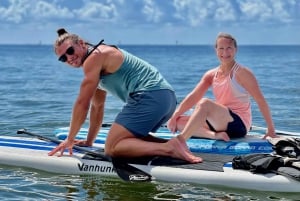 St. Petersburg: Paddleboard-tur med dyreopplevelser