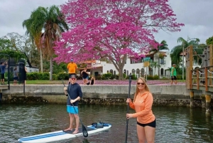 St. Petersburg: Paddle-Board-Tour mit Wildtierbeobachtung