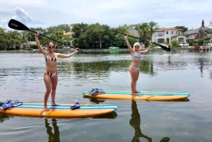 St. Petersburg: Paddle-Board-Tour mit Wildtierbeobachtung
