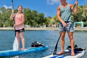 St. Petersburg: Paddle-Board-Tour mit Wildtierbeobachtung