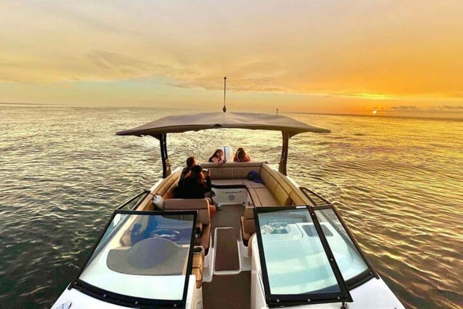 San Pietroburgo: Tour privato in barca dell'Isola della Barriera e dei Delfini