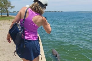 St. Petersburg: Naturskjønn Segway-tur