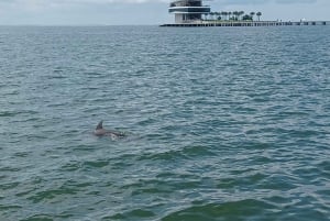 St. Petersburg: Naturskjønn Segway-tur