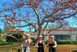 St. Petersburg: Scenic Segway Tour